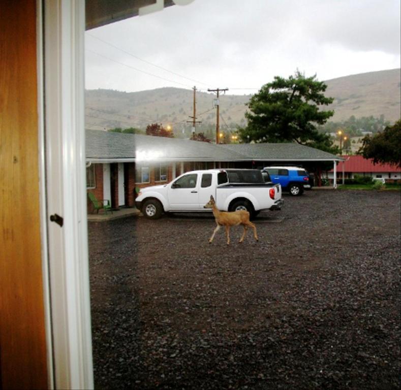 Golden West Motel Klamath Falls Bagian luar foto